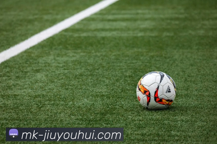 九游会J9官网平台生态图