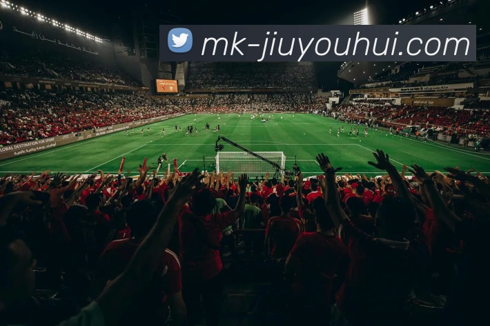 九游会J9官网APP 封面图